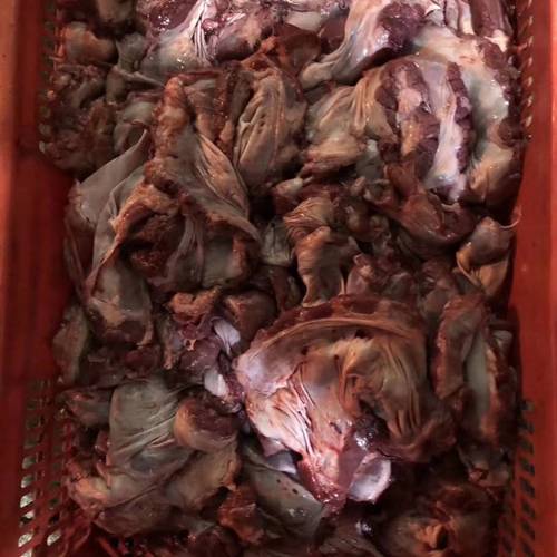 連肝肉批發與格山批發 惠州及周邊地區的高效肉類配送服務