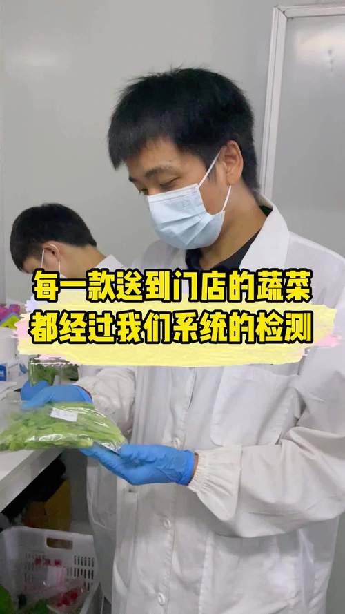 干調(diào)糧油配送 鑄就品質(zhì)與效率的安心之選