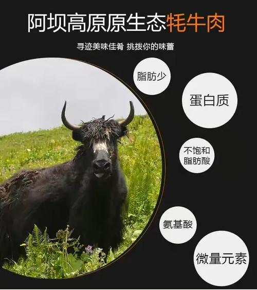 正宗新鮮紅原牦牛肉，當天宰殺當天配送，品質與新鮮兼得