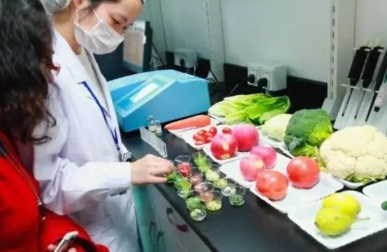 虎門(mén)企業(yè)餐飲新選擇 飯?zhí)贸邪c食材配送一站式服務(wù)